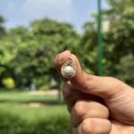 Pearl Studs - Image 3