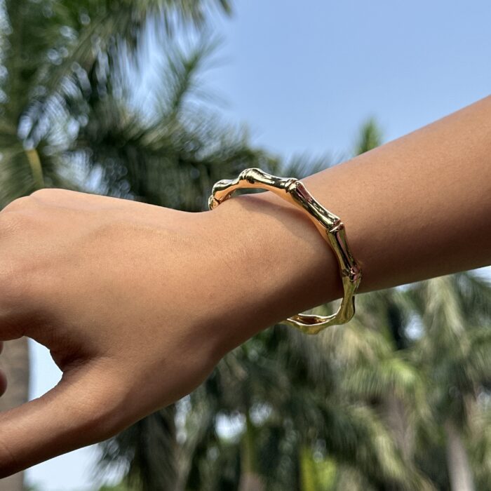 Sculpted Segment Bracelet - Image 1