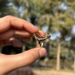 3-in-1 Shine Ring - Image 4