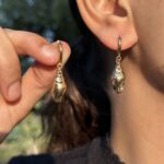 Shell Drop Earrings