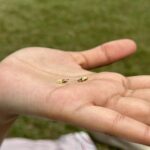 Feather Chain Set - Image 3