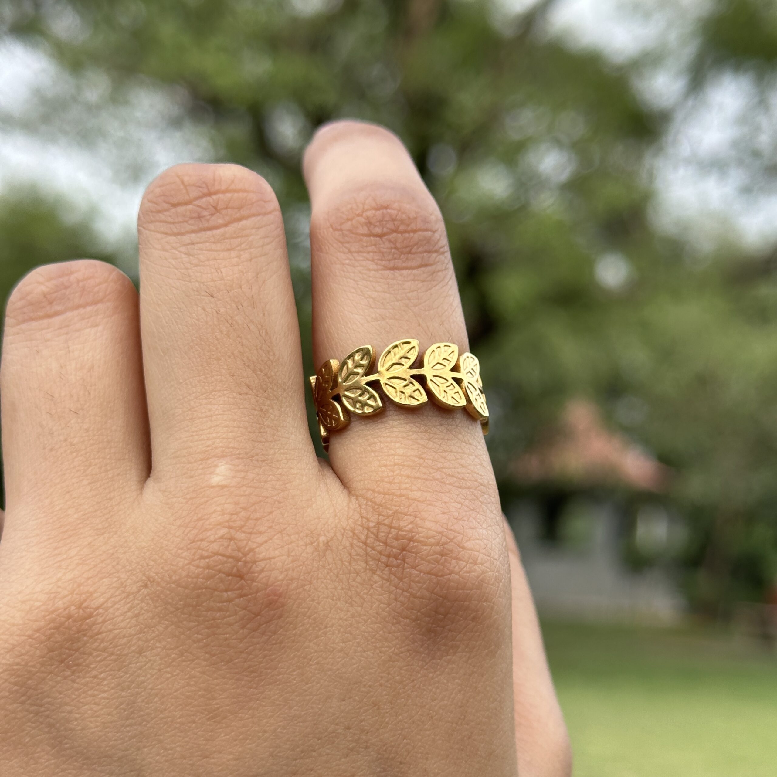 IMG_8810 Willow Ring - Image 1