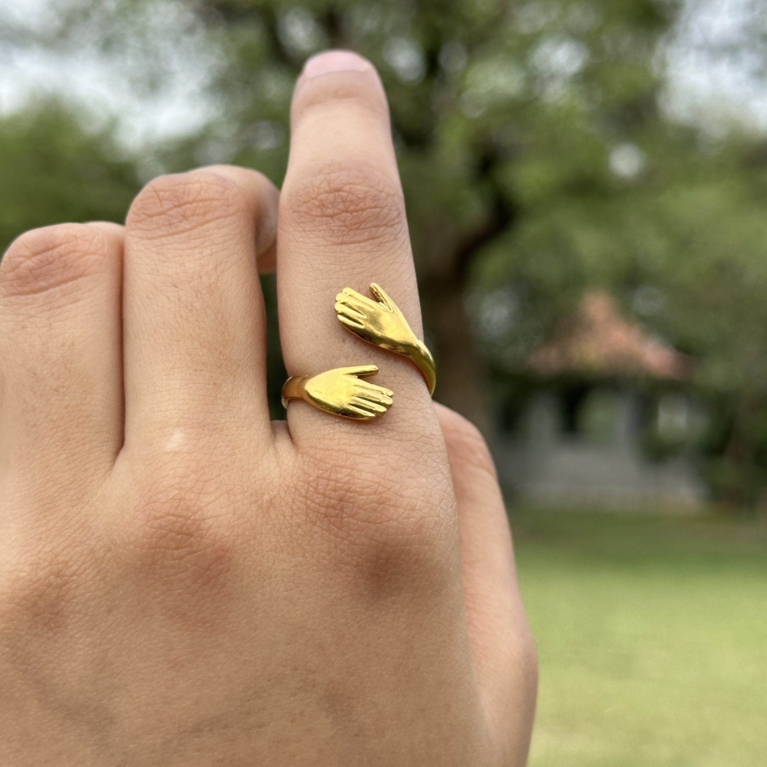 IMG_8828 Hug Ring - Image 1