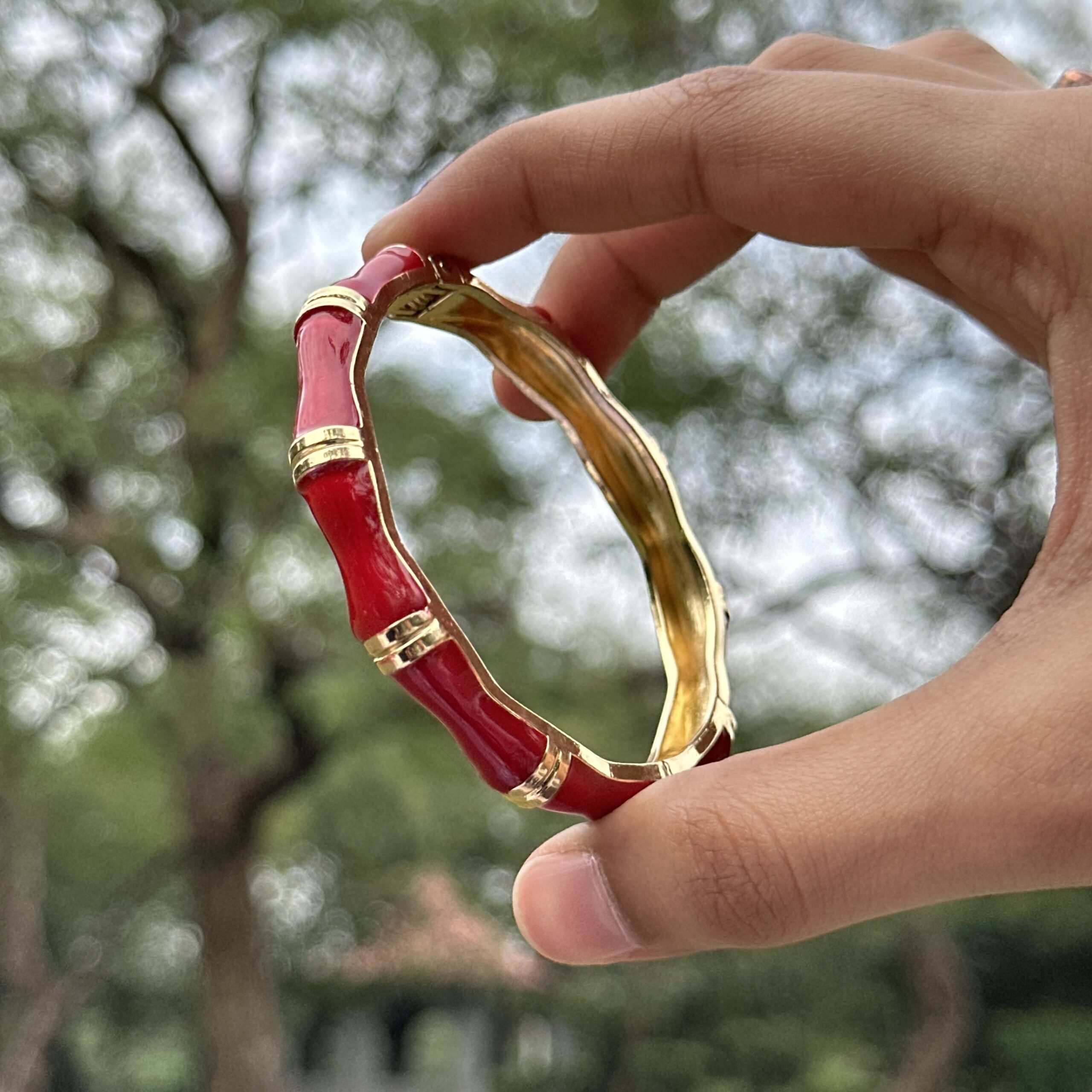 IMG_8899 Scarlet Bracelet - Image 1