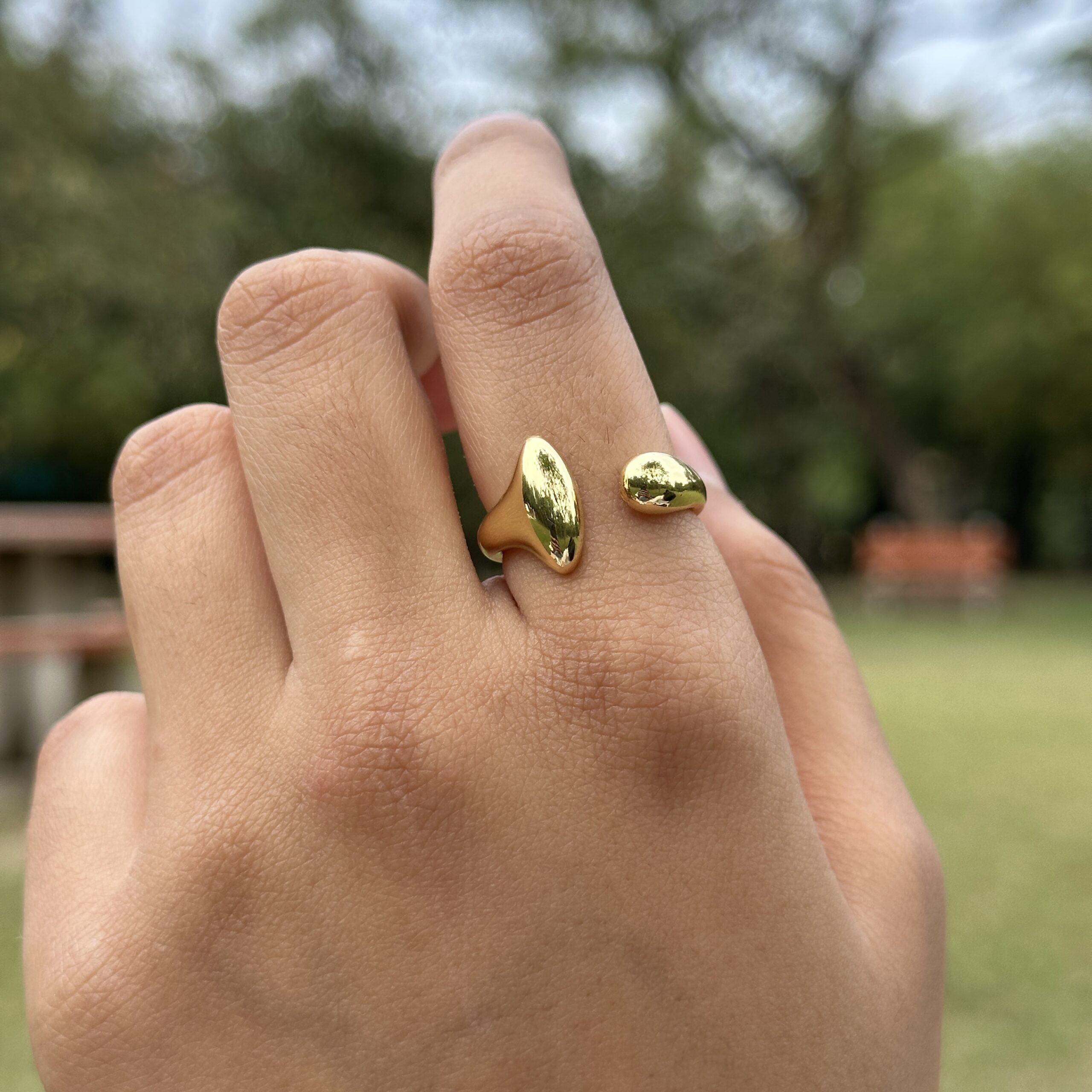 IMG_8958 Two of Us Ring - Image 1