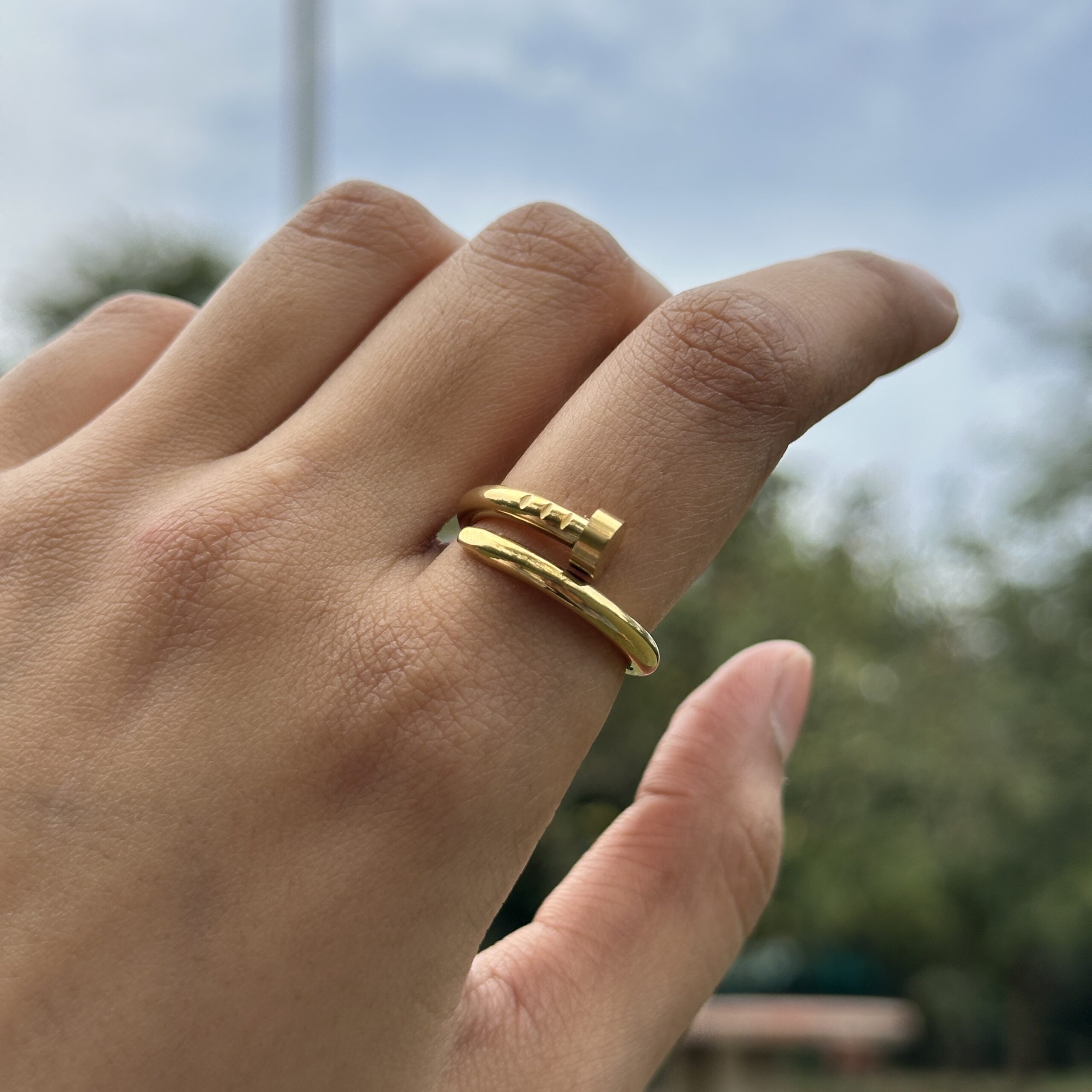 IMG_8963 Nail Ring - Image 1