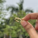 Twisted Ring - Image 4