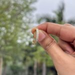 Broad Band - Image 4